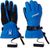 bold blue (BDL)