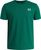 green - white (312)
