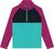 wild aster (6261)
