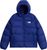 bold blue (NLV)