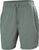 grey cactus (485)