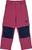raspberry (222000)
