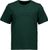 pargasite green (1467)