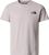 moonstone grey (1OA)