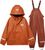 iron oxide (301)