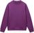 purple pass vaa (VAA)