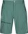 deep sea green (D57)