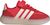 semi lucid red-off white-pure ruby (AFDE)