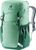 spearmint-seagreen (2293)
