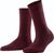 barolo (8596)