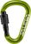 fluo green (5810)
