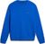 blue lapis (B2L)