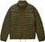olive night g1f (G1F)