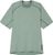 sage green (GSA)