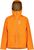 orange sun (9951)