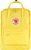 corn (126)