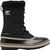 black ancient fossil (011)