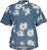 dusty blue shadow (1252)