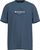 dusty blue (1225)