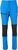 blue aster (2081)