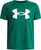 green - white (312)