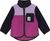 wild aster (6261)