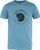 dawn blue (543)
