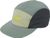 grey cactus (485)