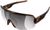 tortoise brown/clarity road/sunny silver (9547)