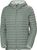 grey cactus (485)