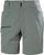 grey cactus (485)