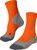 dutch orange (8041) (8041)