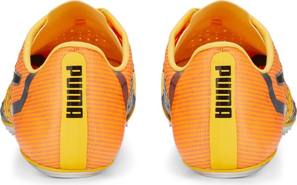 Evospeed Tokyo Brush 4