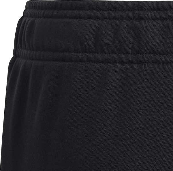 Essentials Big Logo Joggers