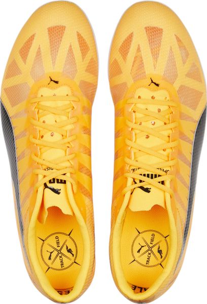 Evospeed Mid-distance 4
