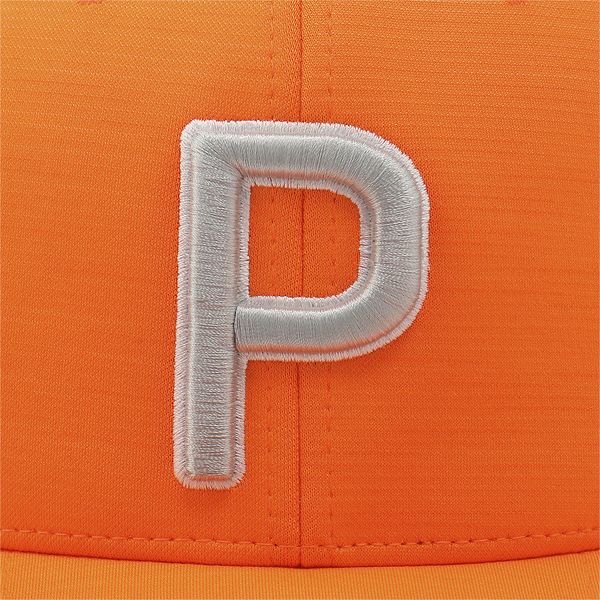P 110 Cap