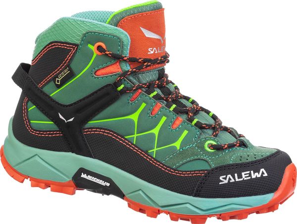 JR ALP Trainer Mid GTX