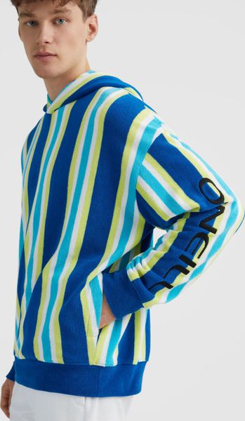 Brights Terry Hoodie