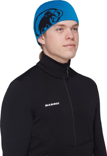 Tweak Beanie