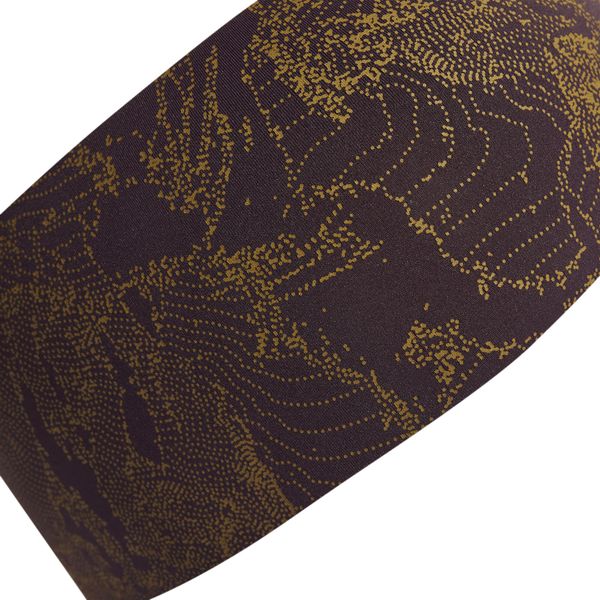Terrex Graphic Headband