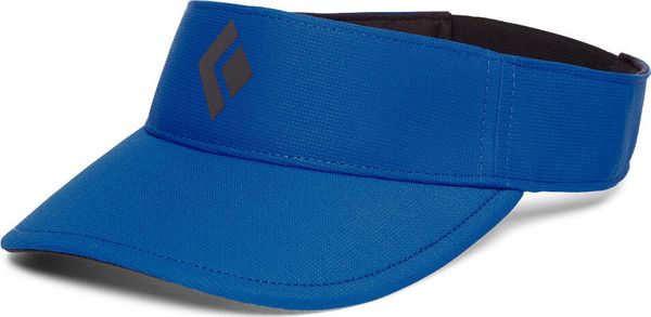 Dash Visor