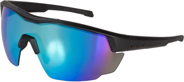 FS260-Pro Brille