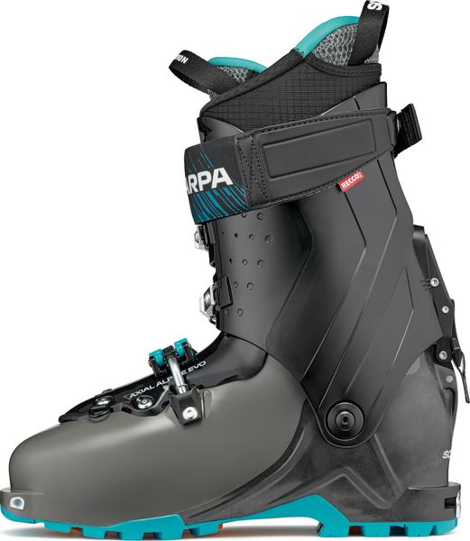 Maestrale XT