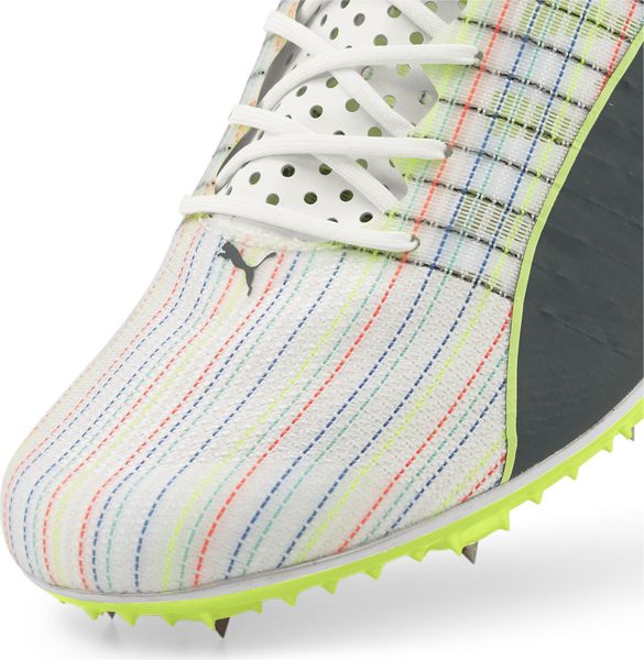 Evospeed Tokyo Brush 3