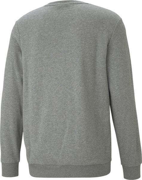 Essentials Big Logo Crew TR