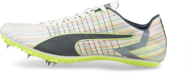 Evospeed Tokyo Brush 3