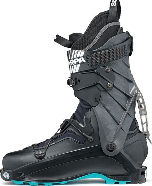 F1 XT