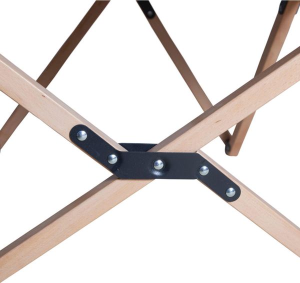 Chair Flycatcher