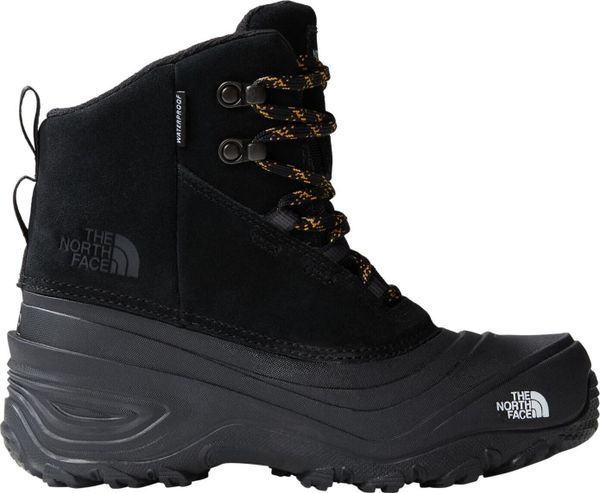 Y Chilkat V Lace WP