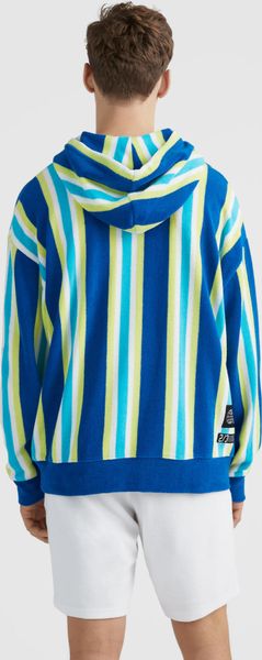 Brights Terry Hoodie